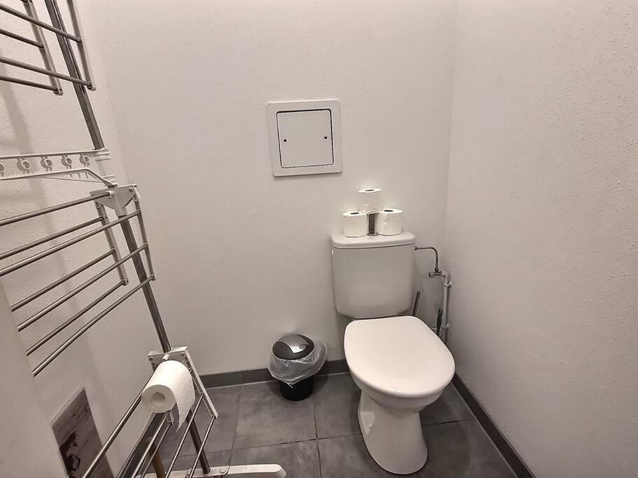 Superbe Appartement Avec 2 Balcons - Vue Sur La Cathedrale Environ 15 Min En Tram Strasbourg Eksteriør billede