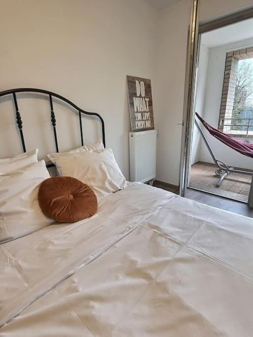 Superbe Appartement Avec 2 Balcons - Vue Sur La Cathedrale Environ 15 Min En Tram Strasbourg Eksteriør billede